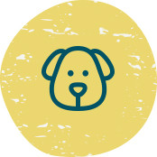 media.pet-friendly